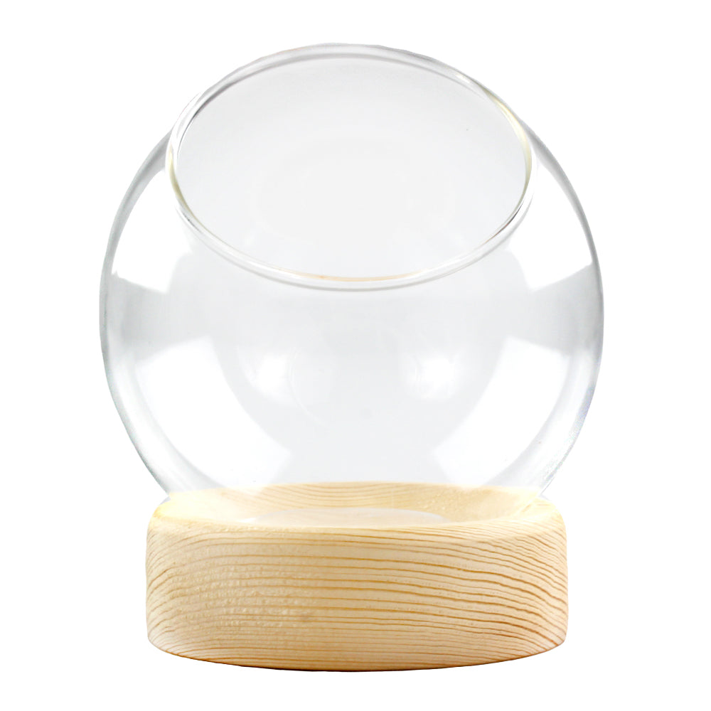 5.5" H Dome Terrarium Container with Wood Vase