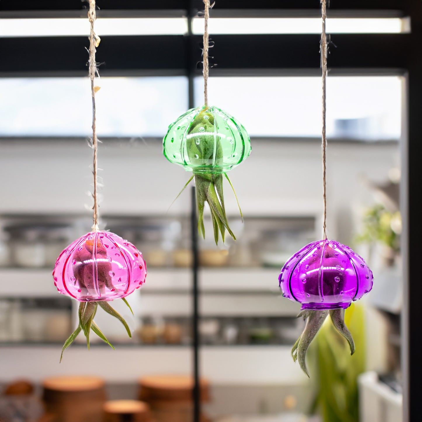 Set of 3 Hanging Glass Sea Urchin Jellyfish Arrangement