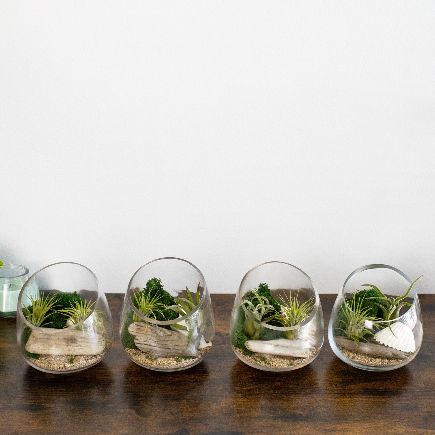 Air Plant Terrarium Retail Kit