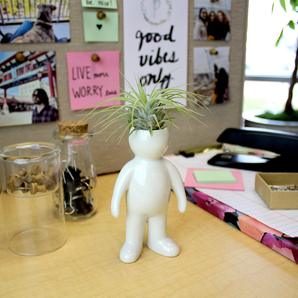 "Man" Air Head White Ceramic Pot