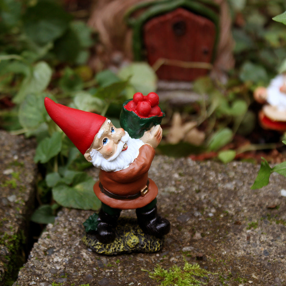 Fairy Garden Gnome - Gnome Carrying Apples