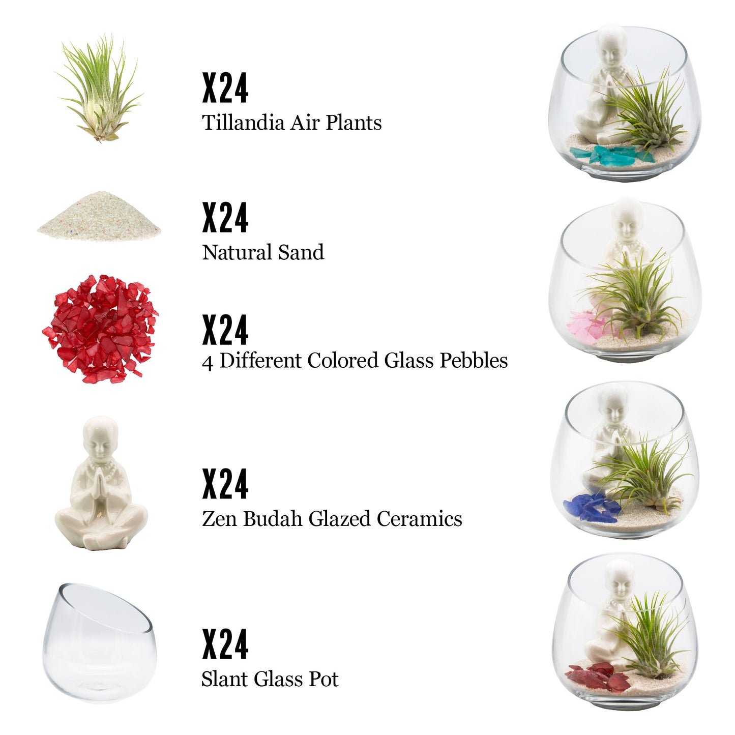 Set of 24 - ZEN Buddha Garden Display with Air Plant Arrangement