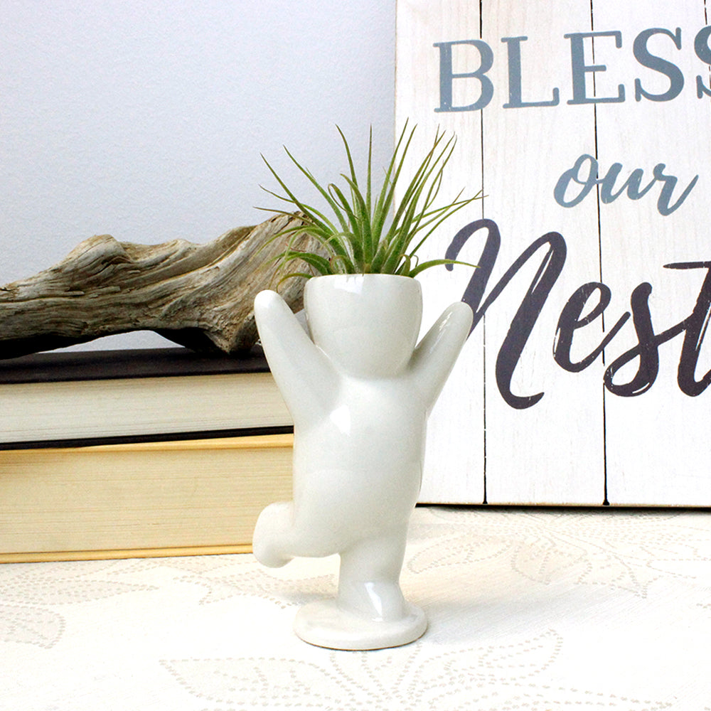 air plant holders wholesale White Ceramic People Shaped Air Plant Holders with Wholesale Pricing – NW Wholesaler