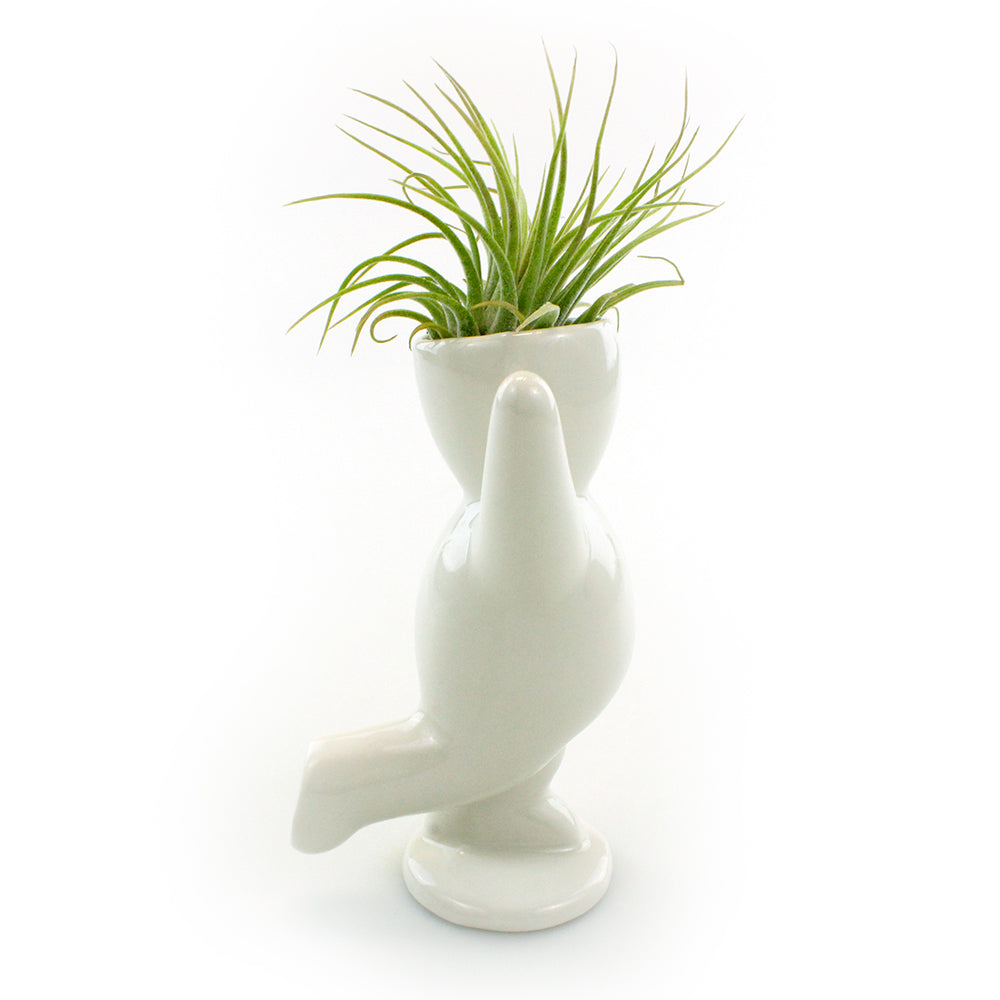 "Happy Cheering Person" Air Head Complete Kit With Live Air Plant