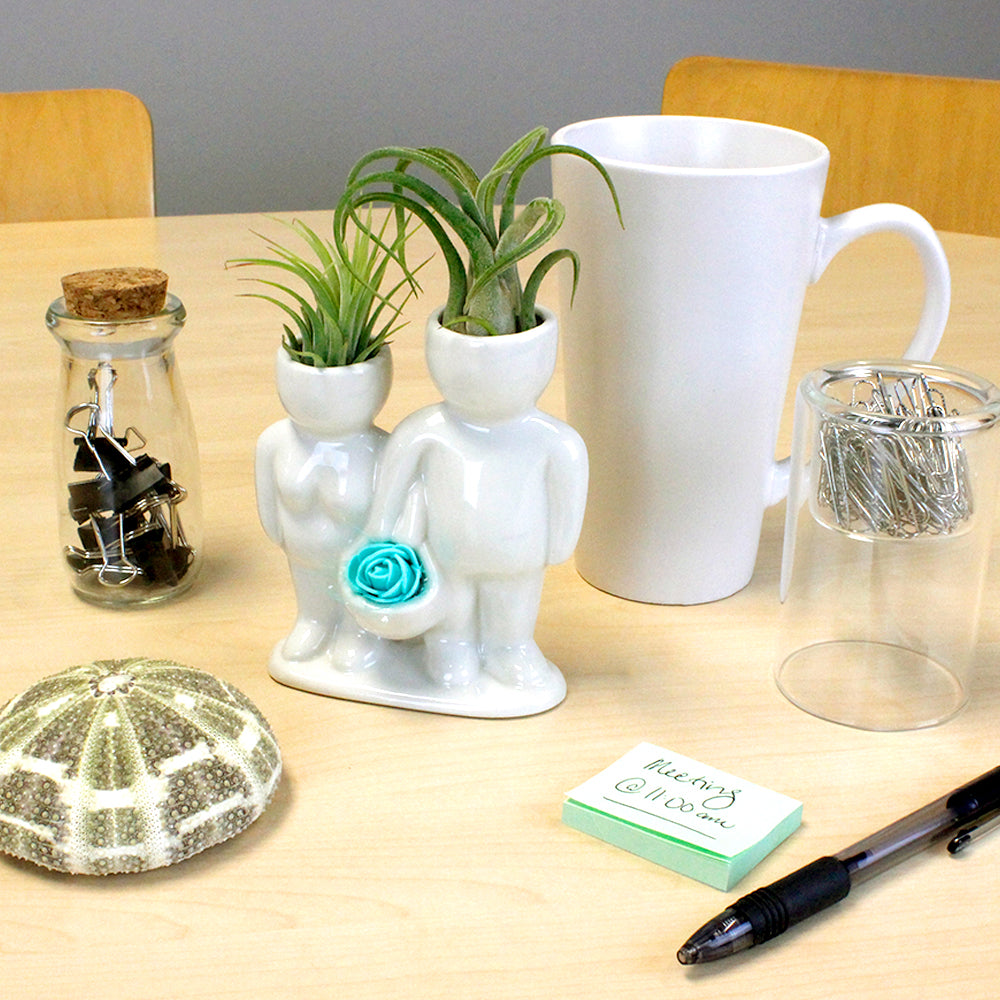 "Couple Carrying Basket" Air Head Complete Kit With Live Air Plant