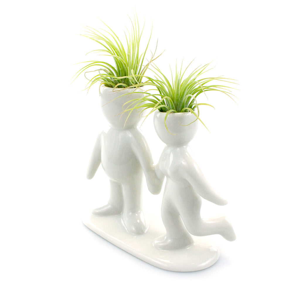 "Happy Couple" Air Head Complete Kit With Live Air Plant