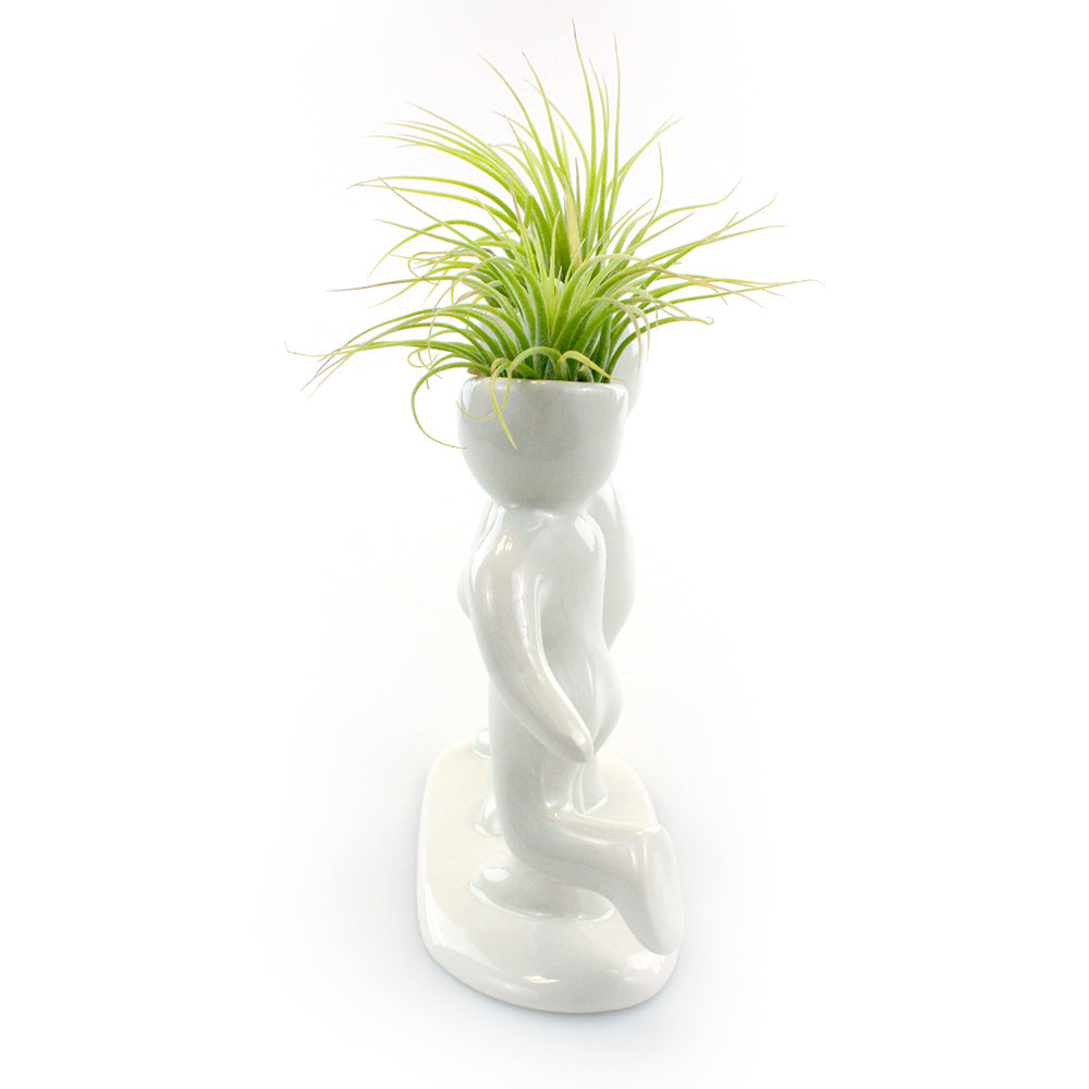 "Happy Couple" Air Head Complete Kit With Live Air Plant