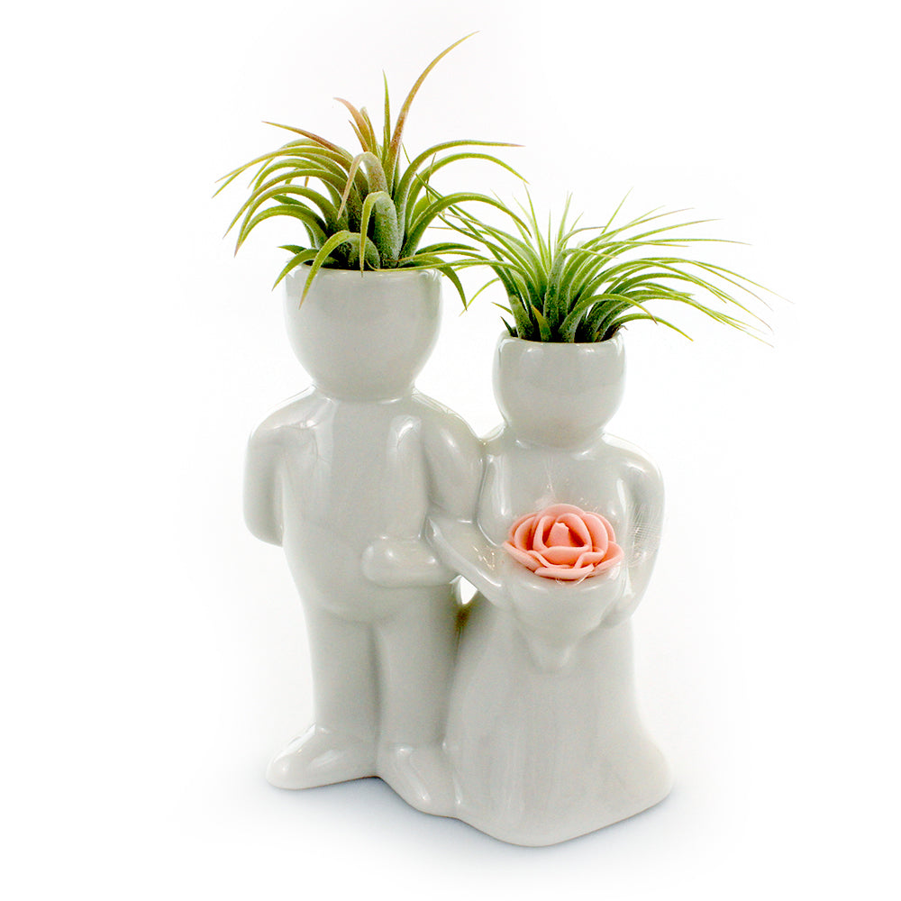 "Wedding Couple" Air Head Complete Kit With Live Air Plant