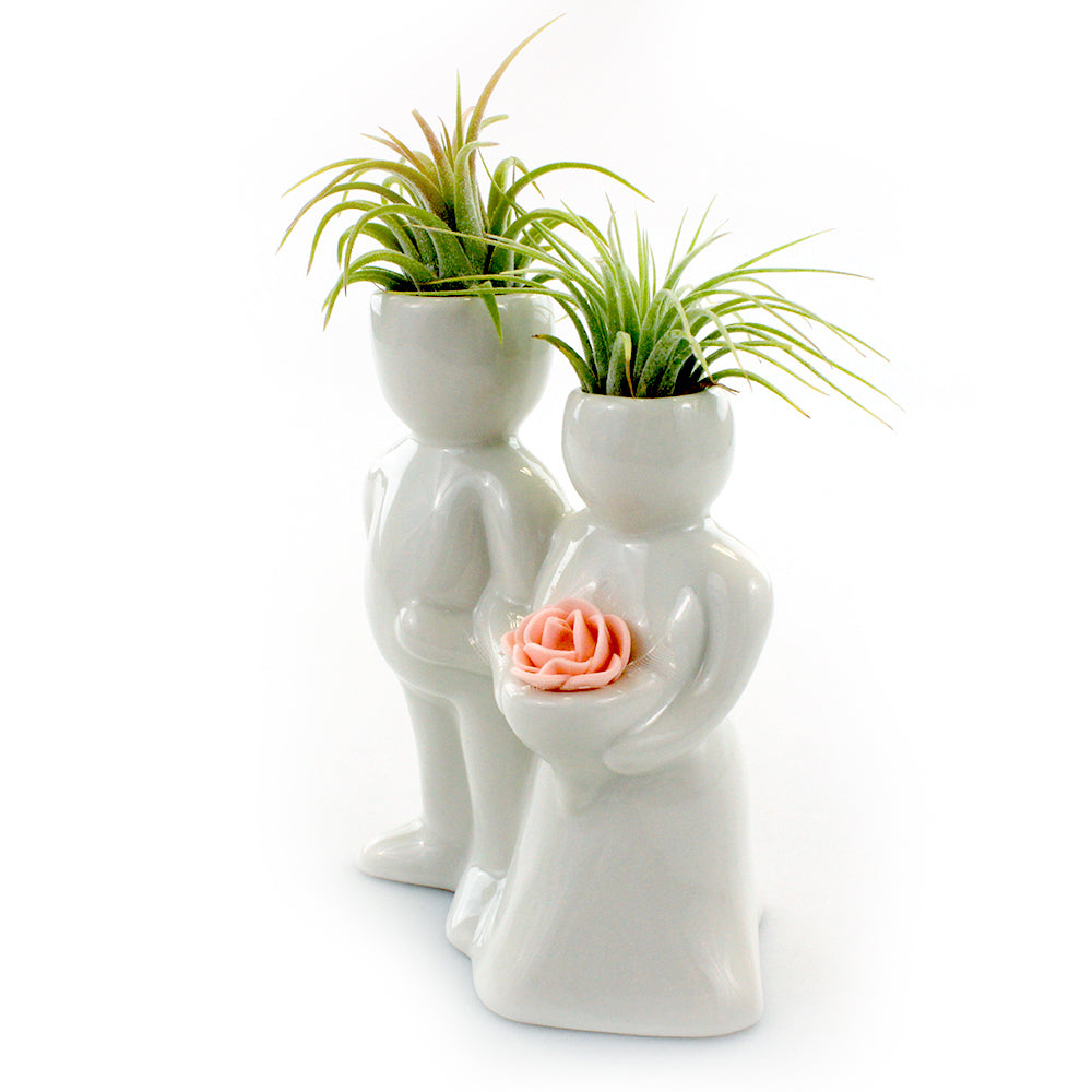 "Wedding Couple" Air Head Complete Kit With Live Air Plant