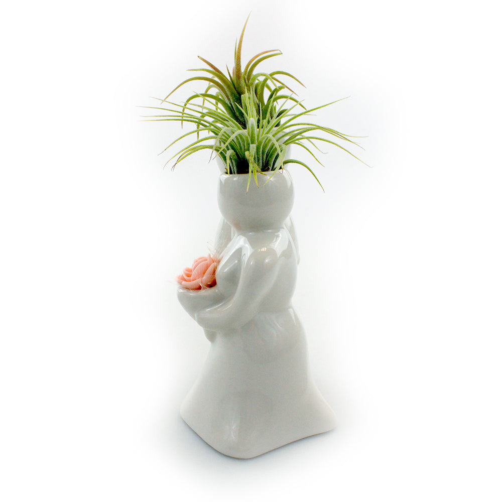 "Wedding Couple" Air Head Complete Kit With Live Air Plant