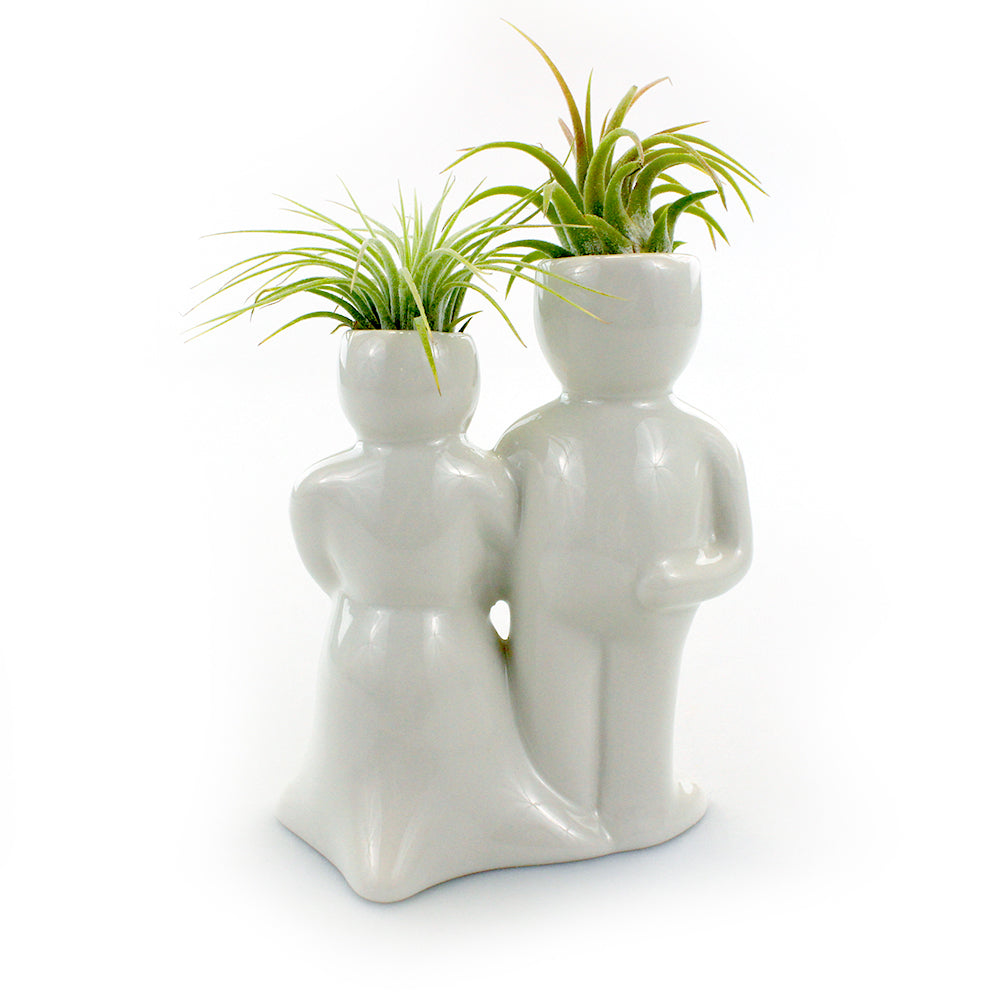 "Wedding Couple" Air Head Complete Kit With Live Air Plant