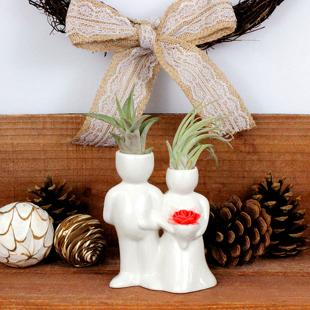 "Wedding Couple" Air Head Complete Kit With Live Air Plant