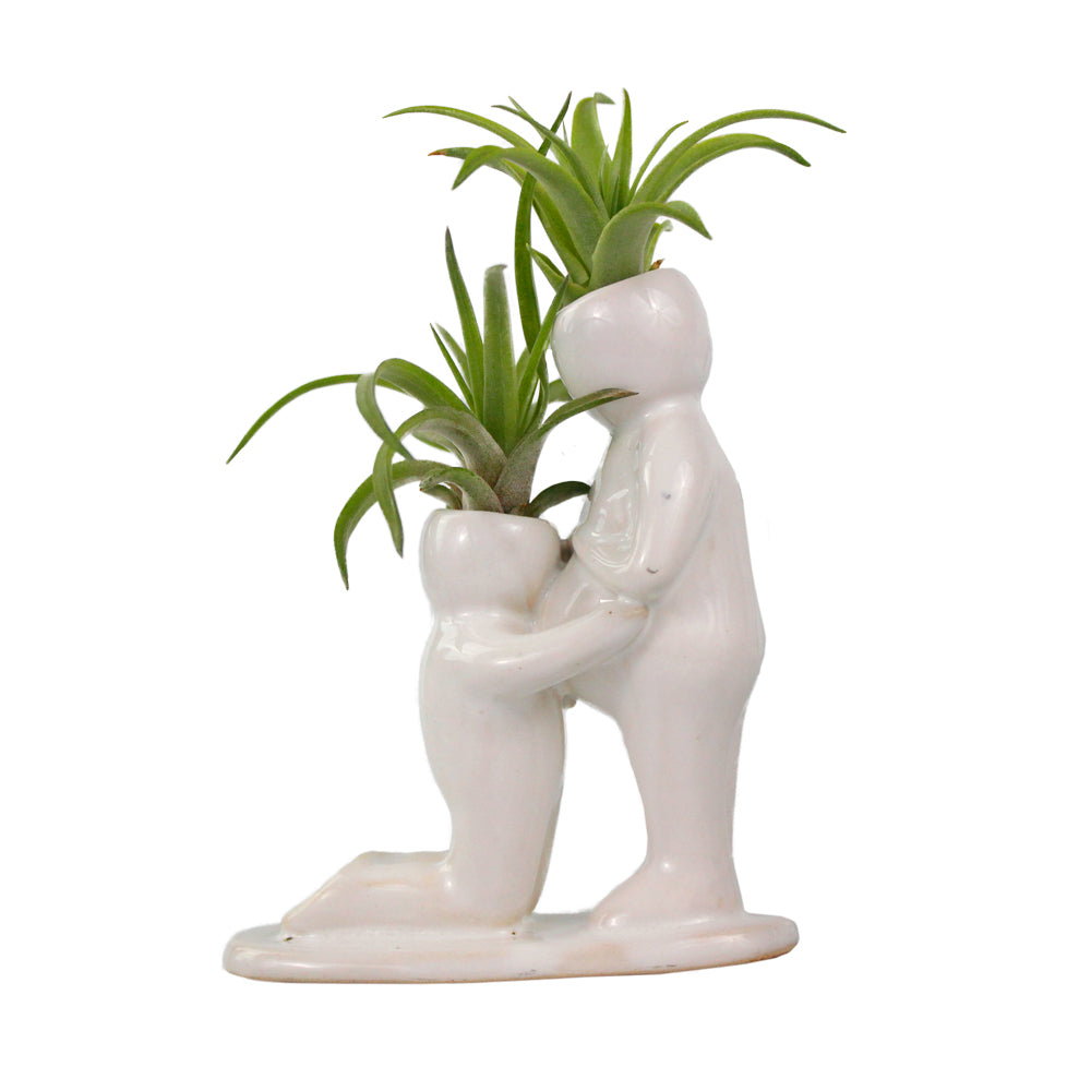 "Baby Bump" Air Head White Ceramic Pot - Air Plant Holder, Succulent, Cactus Planter