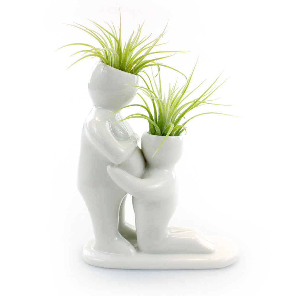 "Baby Bump" Air Head Complete Kit With Live Air Plant