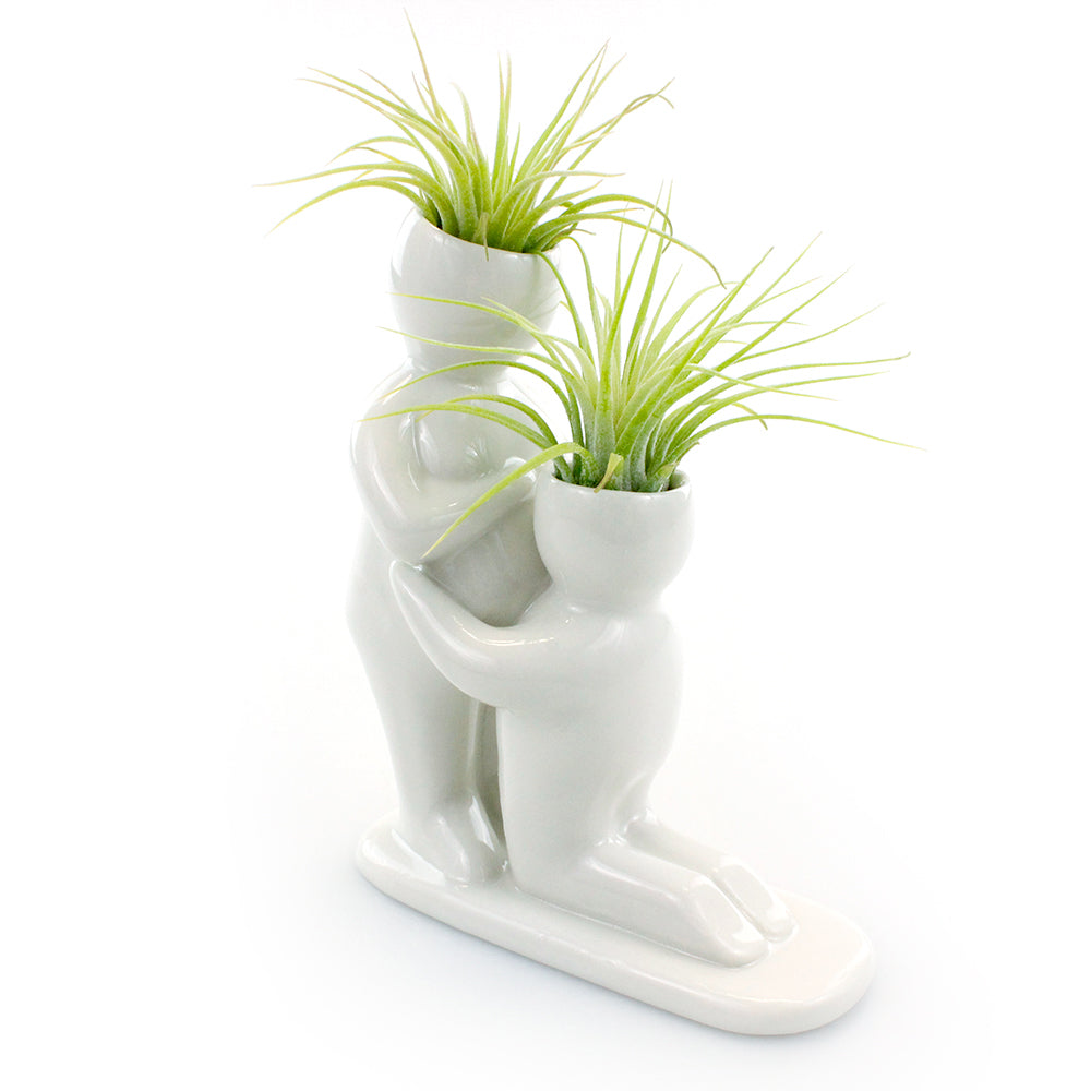 "Baby Bump" Air Head Complete Kit With Live Air Plant