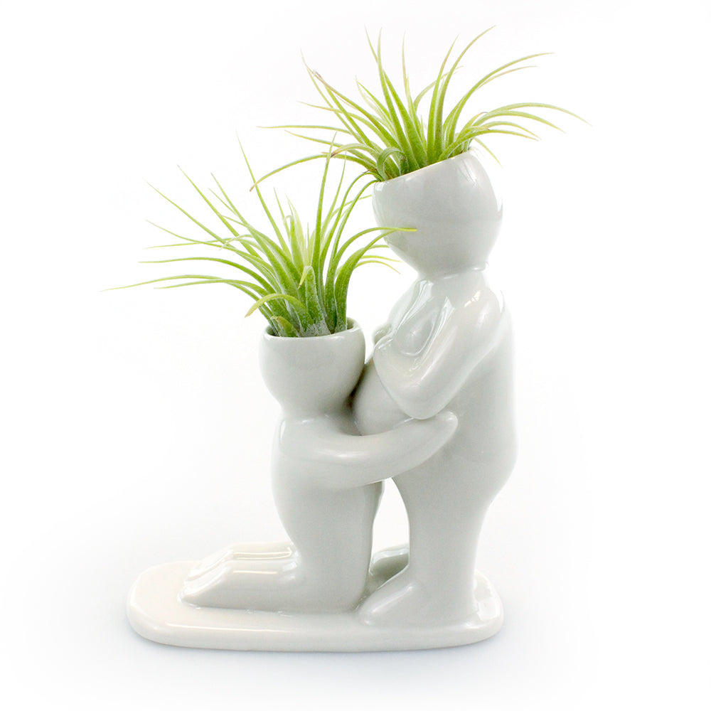"Baby Bump" Air Head Complete Kit With Live Air Plant