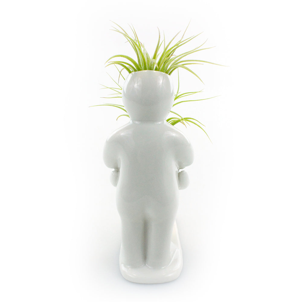 "Baby Bump" Air Head Complete Kit With Live Air Plant