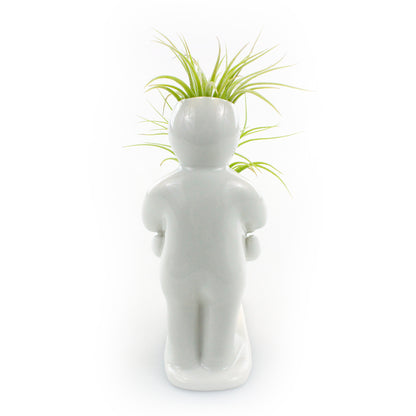 "Baby Bump"  Motherhood Air Head Complete Kit With Live Air Plant