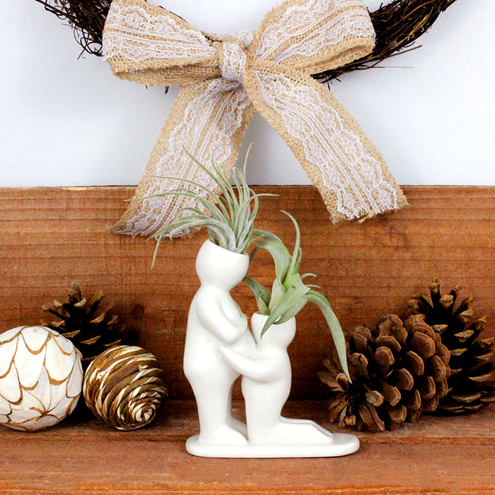 "Baby Bump" Air Head Complete Kit With Live Air Plant