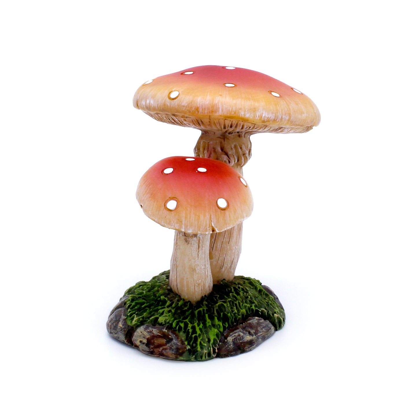 Mushroom Cluster