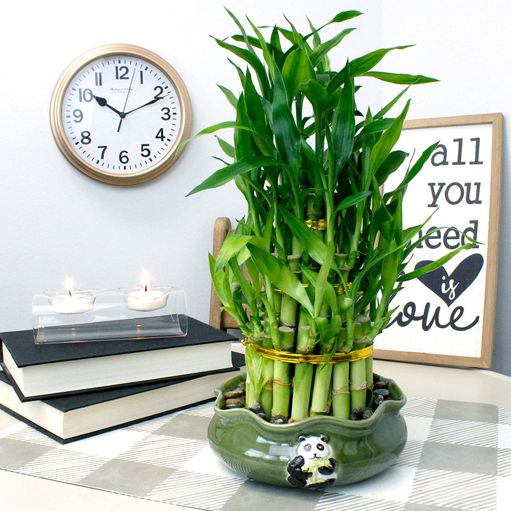 3-Tiered Tower Lucky Bamboo Arrangement