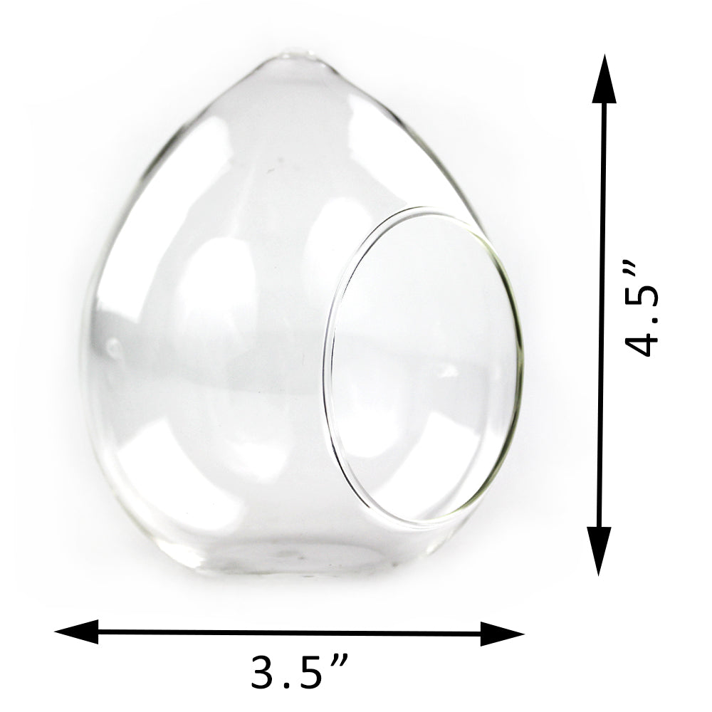 4.5" Teardrop Shaped Glass Terrarium (Case of 48)