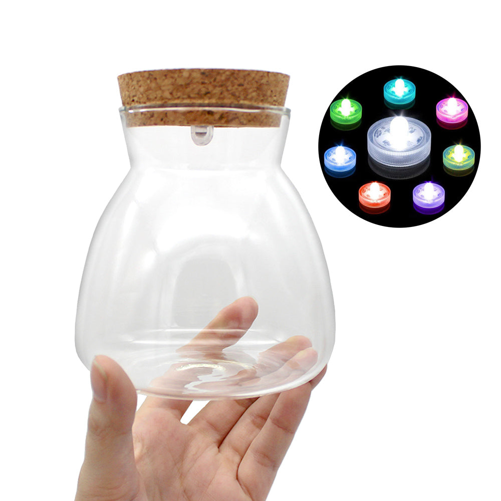 Glass Terrarium w/ LED Lighted Cork