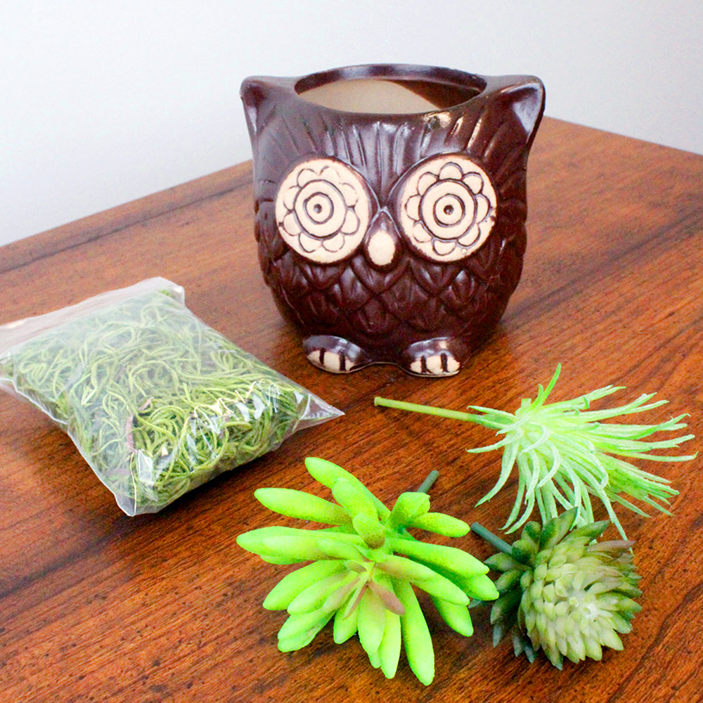 Small Brown Ceramic Owl Planter with Faux Succulents
