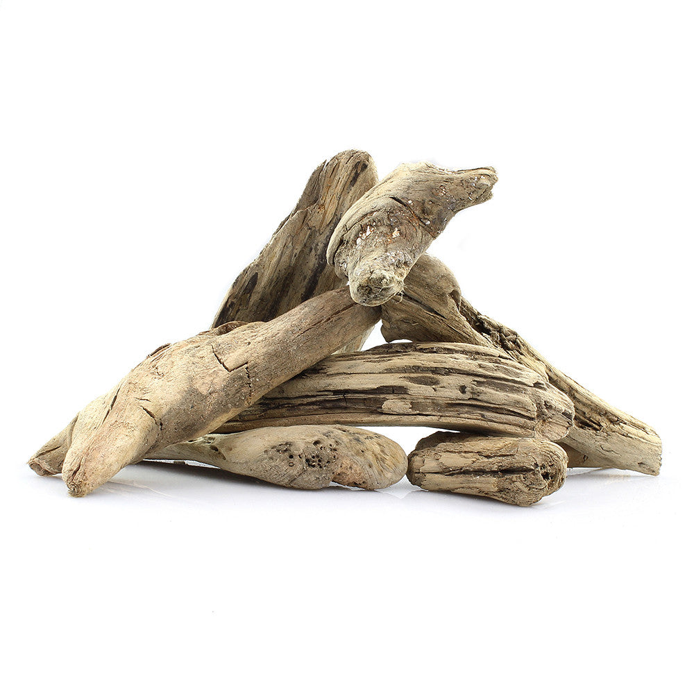 Natural Pacific Coast Driftwood Pieces, 4-6"