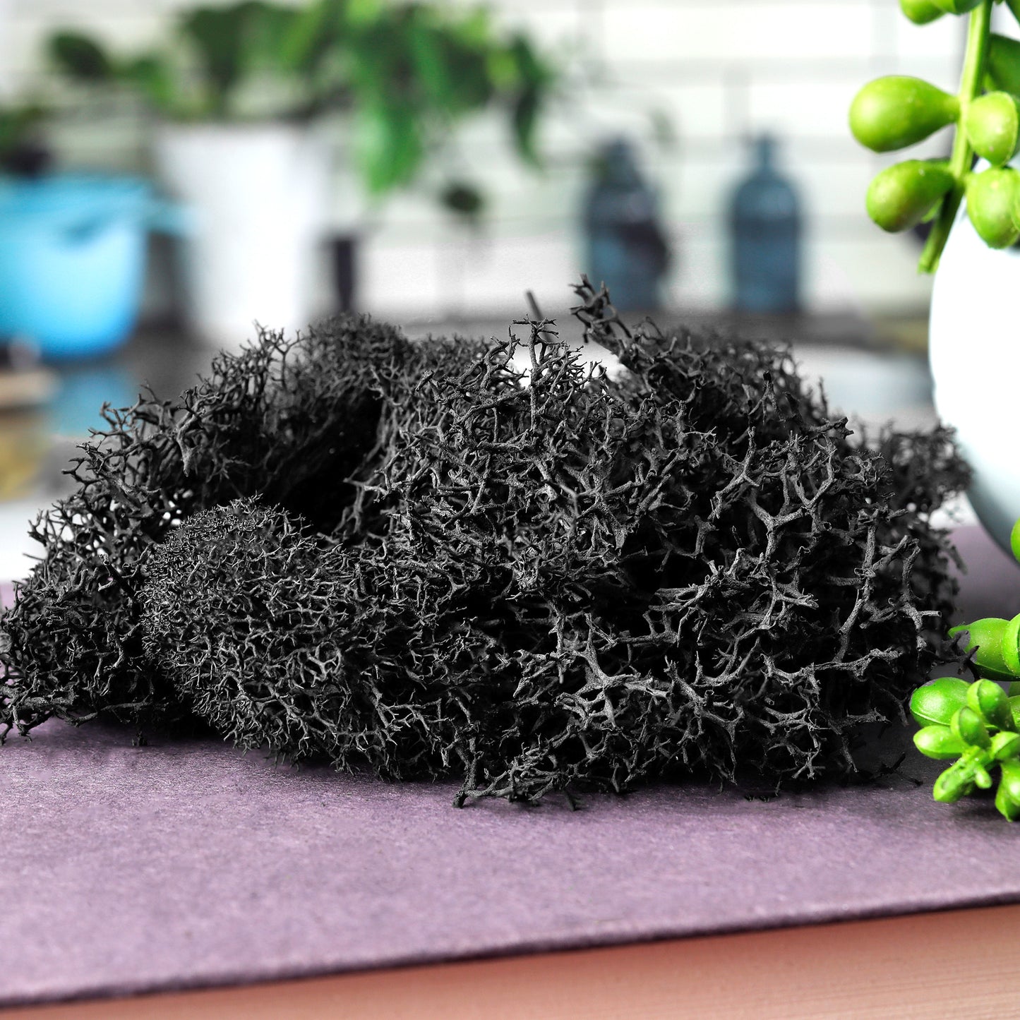 Black Preserved Reindeer Moss