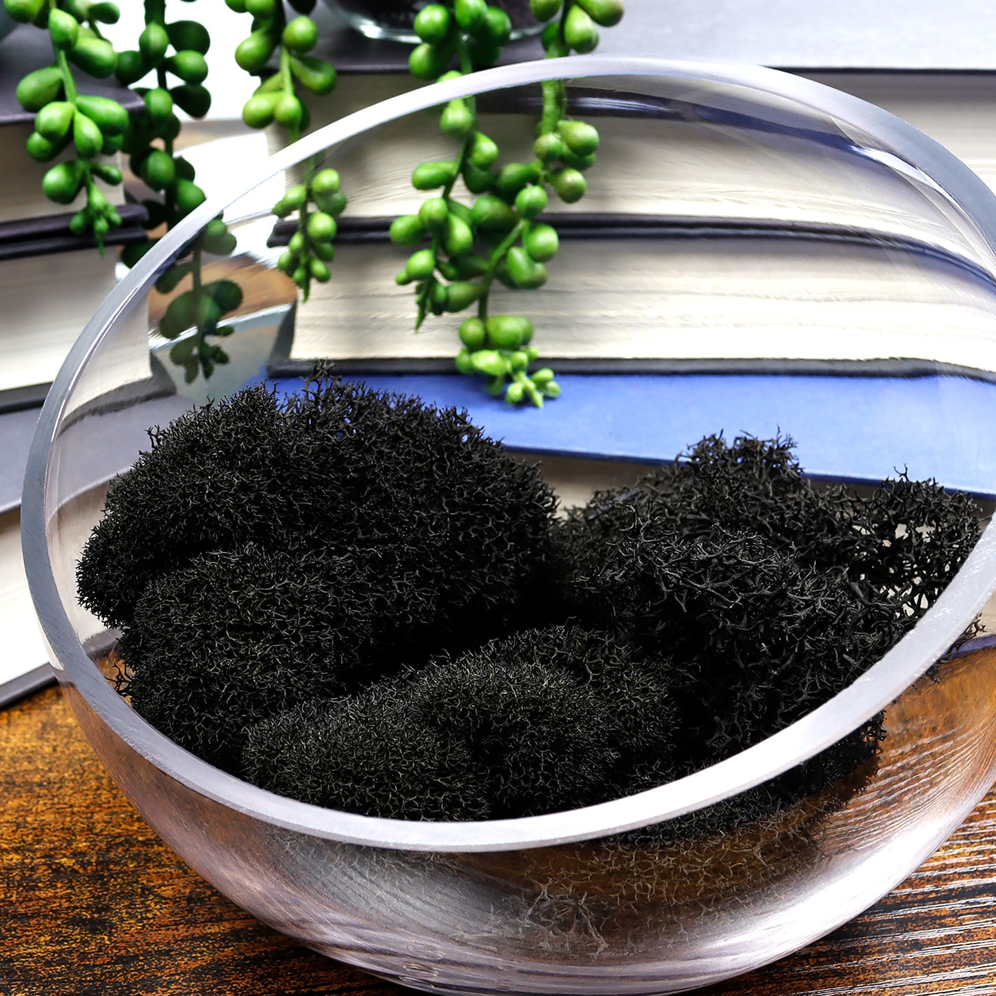 Black Preserved Reindeer Moss