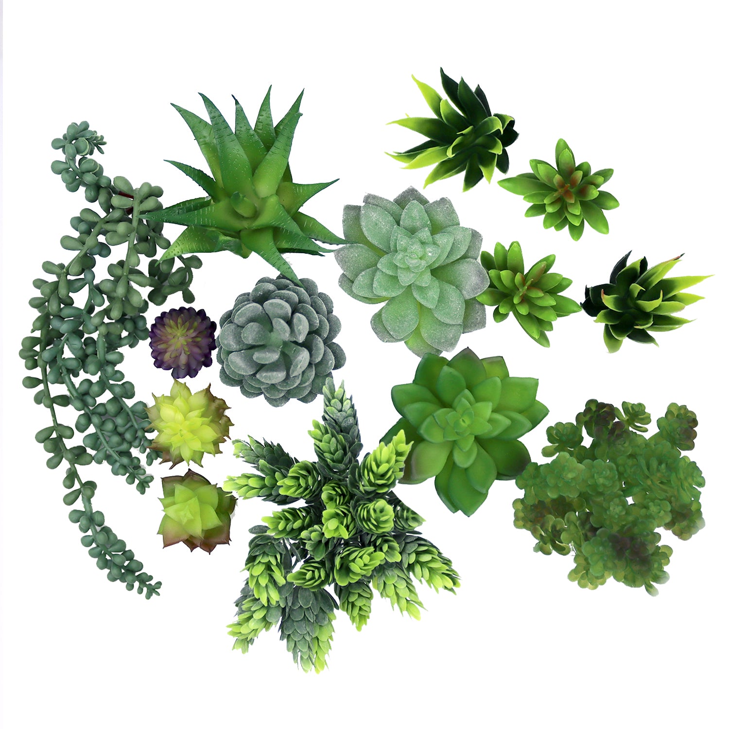plastic succulent plants 14 Assorted Artificial Succulents | Faux Succulent Bundle