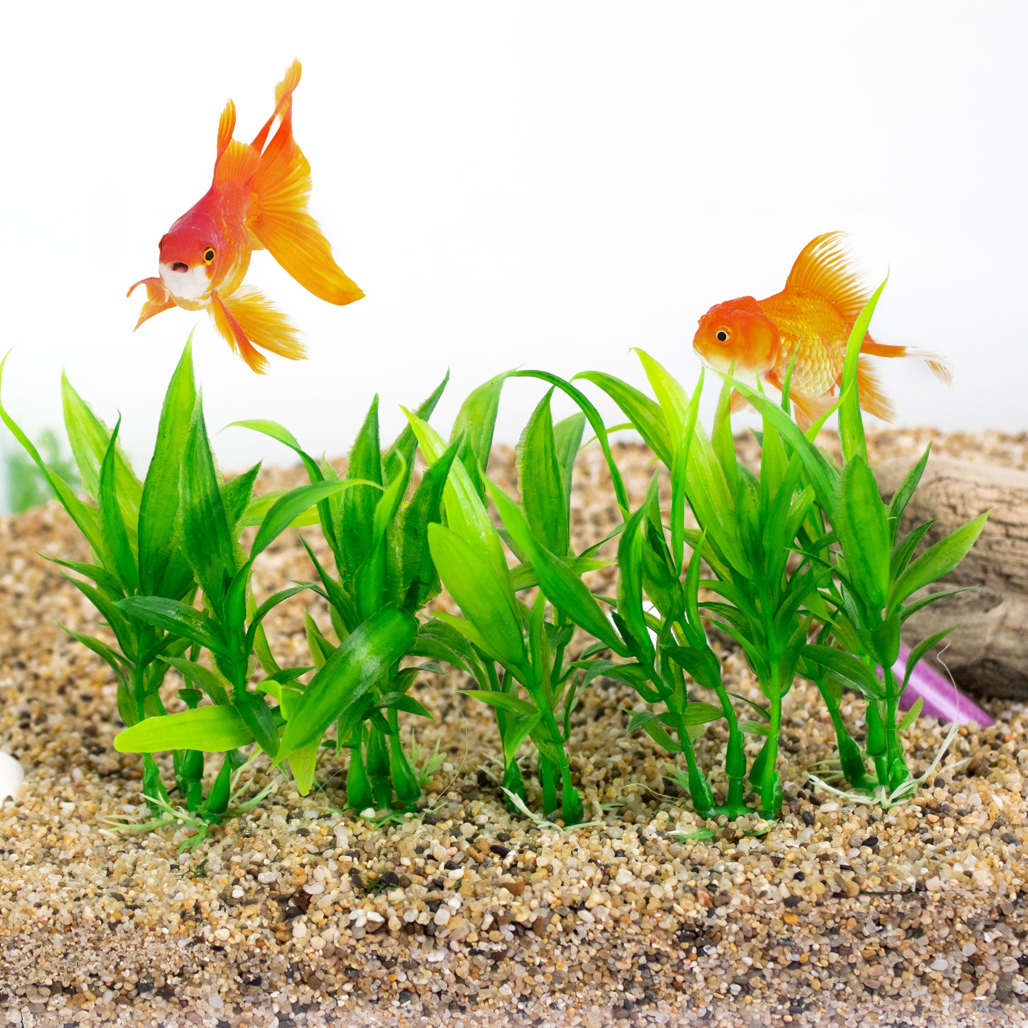 Fish Tank Decoration Ideas, Artificial grass in Aquarium