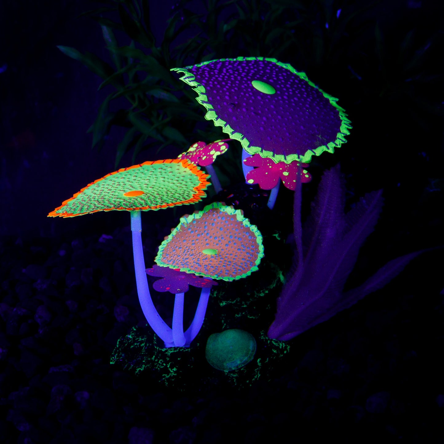 Glow in The Dark Artificial Plants in Rocks for Aquariums - Multiple Colors