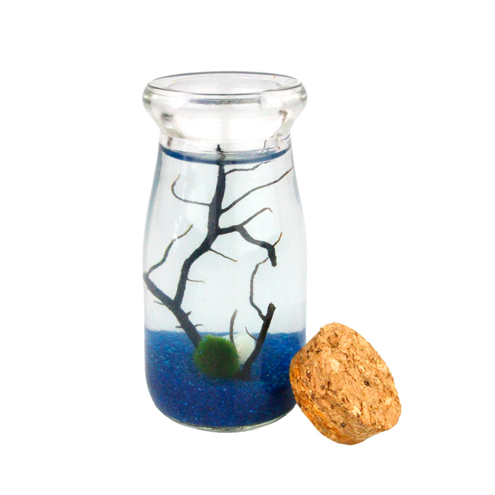 Cork Bottle