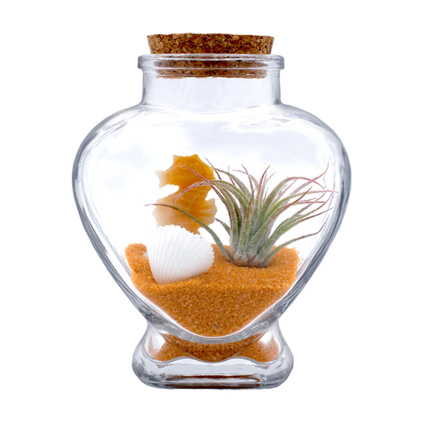 Sparkling Sea Life Miniature Air Plant Terrarium - Sets of 12