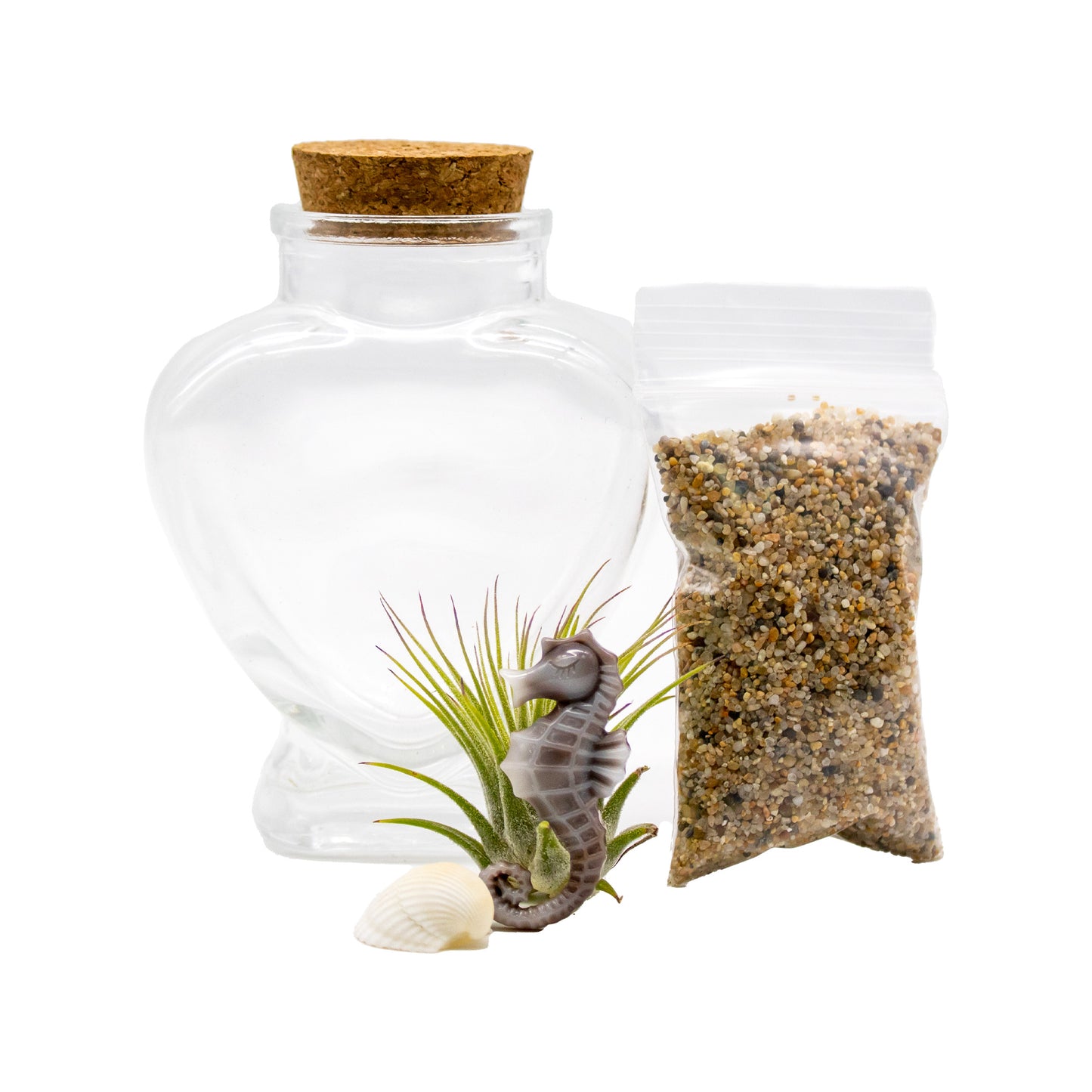 Sparkling Sea Life Miniature Air Plant Terrarium - Sets of 12