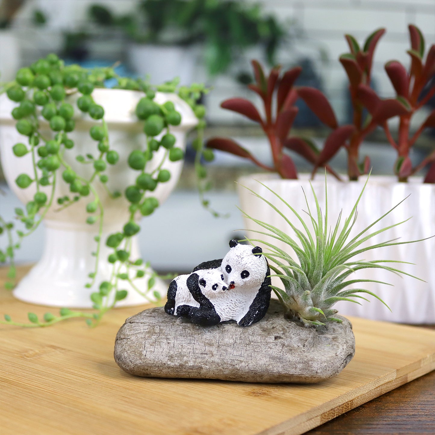 Mini Panda Driftwood Garden