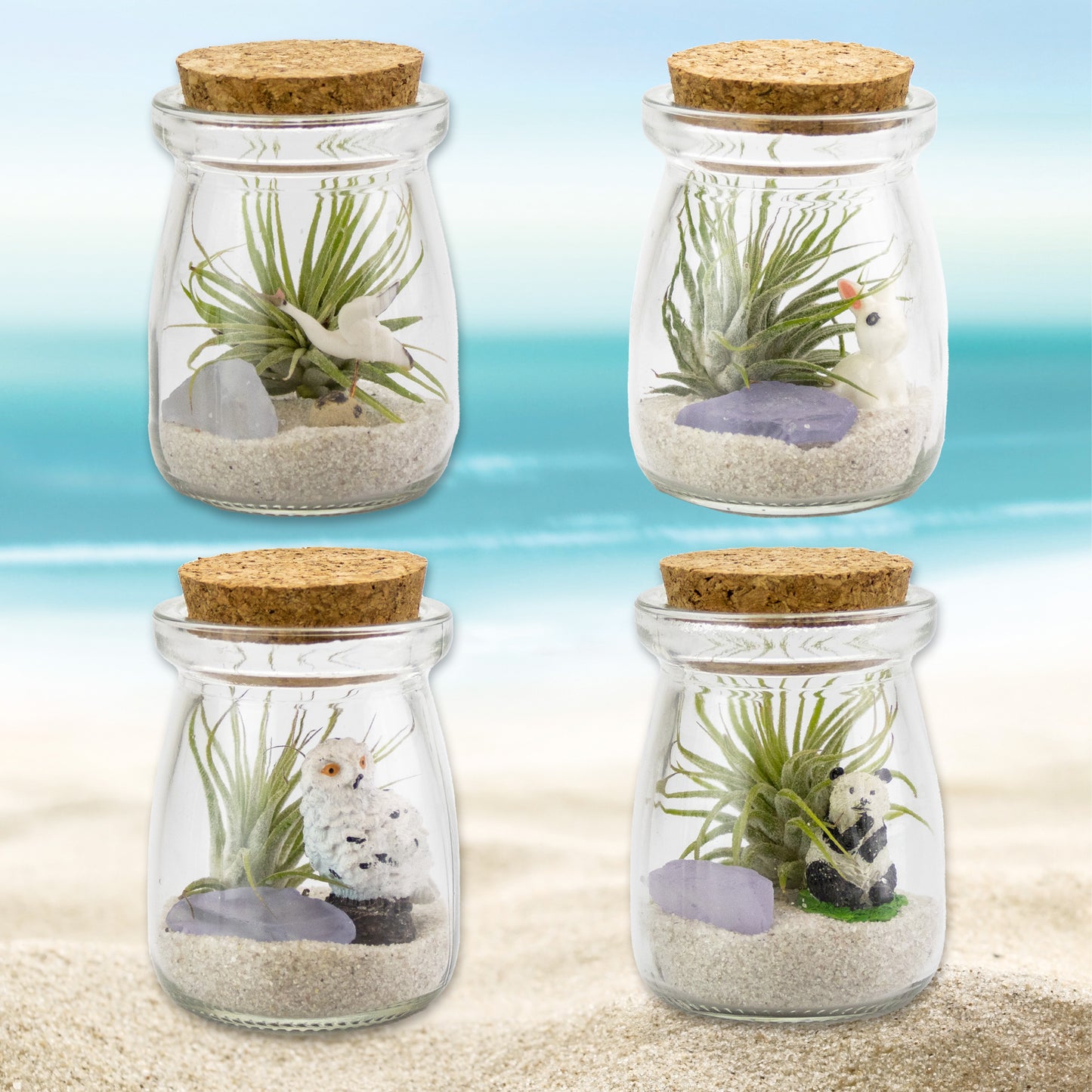 Mini Air Plant Terrarium with Animal Accent Figurine - Set of 12