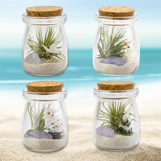 Mini Air Plant Terrarium with Animal Accent Figurine - Set of 12