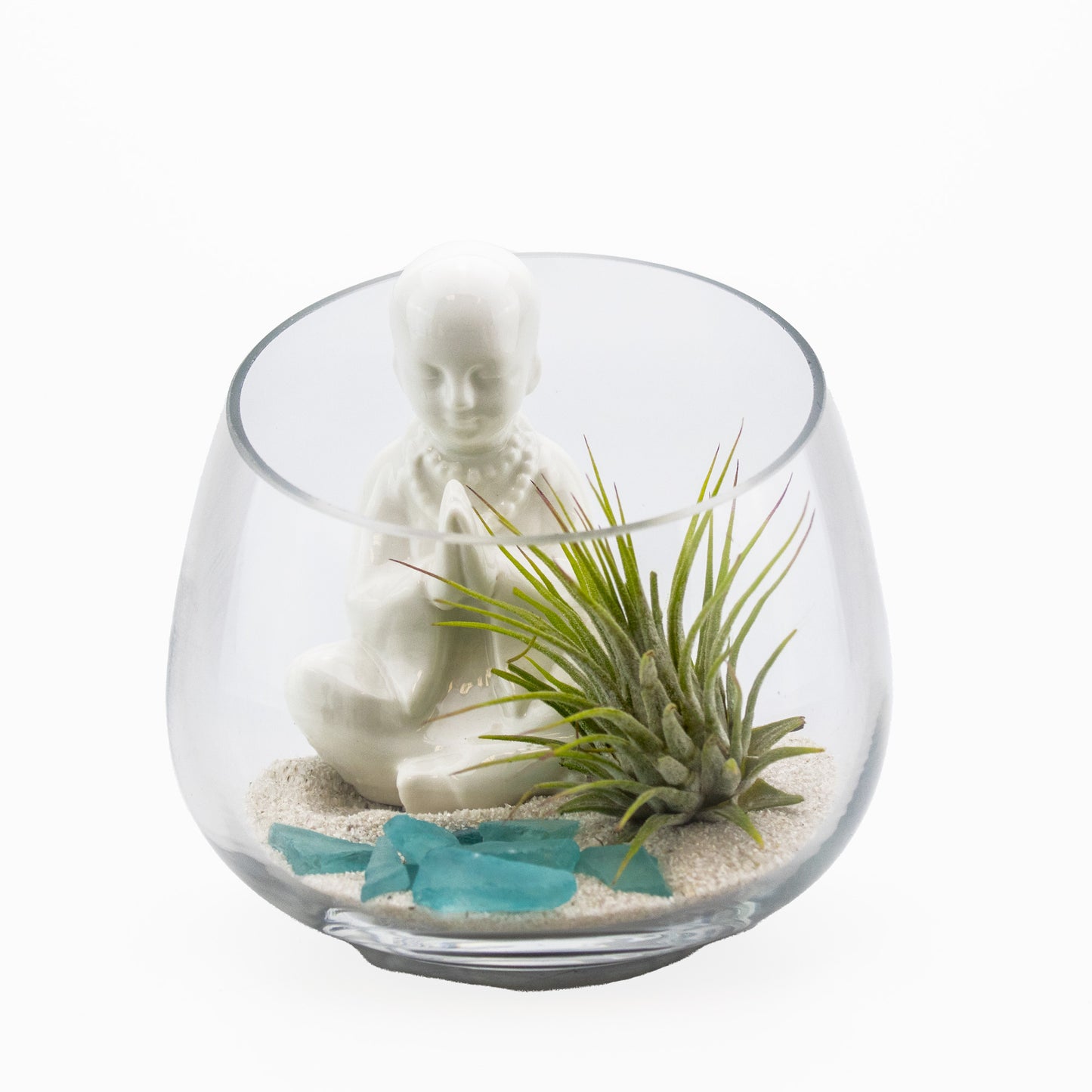 Set of 24 - ZEN Buddha Garden Display with Air Plant Arrangement