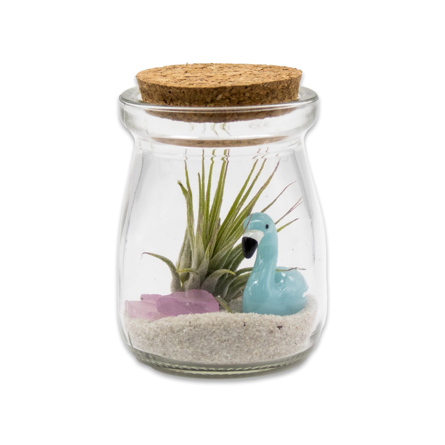 Mini Mixed Flamingo Air Plant Terrarium - Set of 12