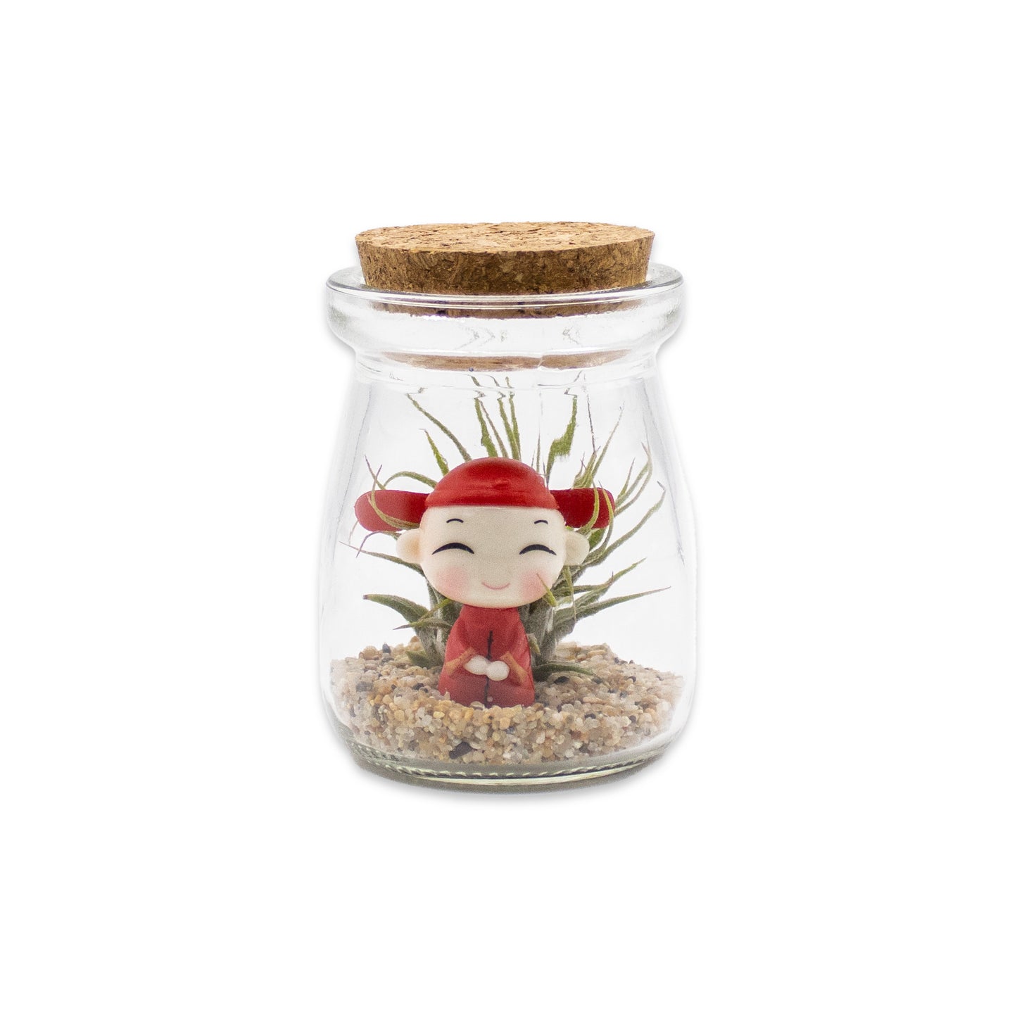 Mini Mixed Boy/Girl Air Plant Terrarium - Set of 12