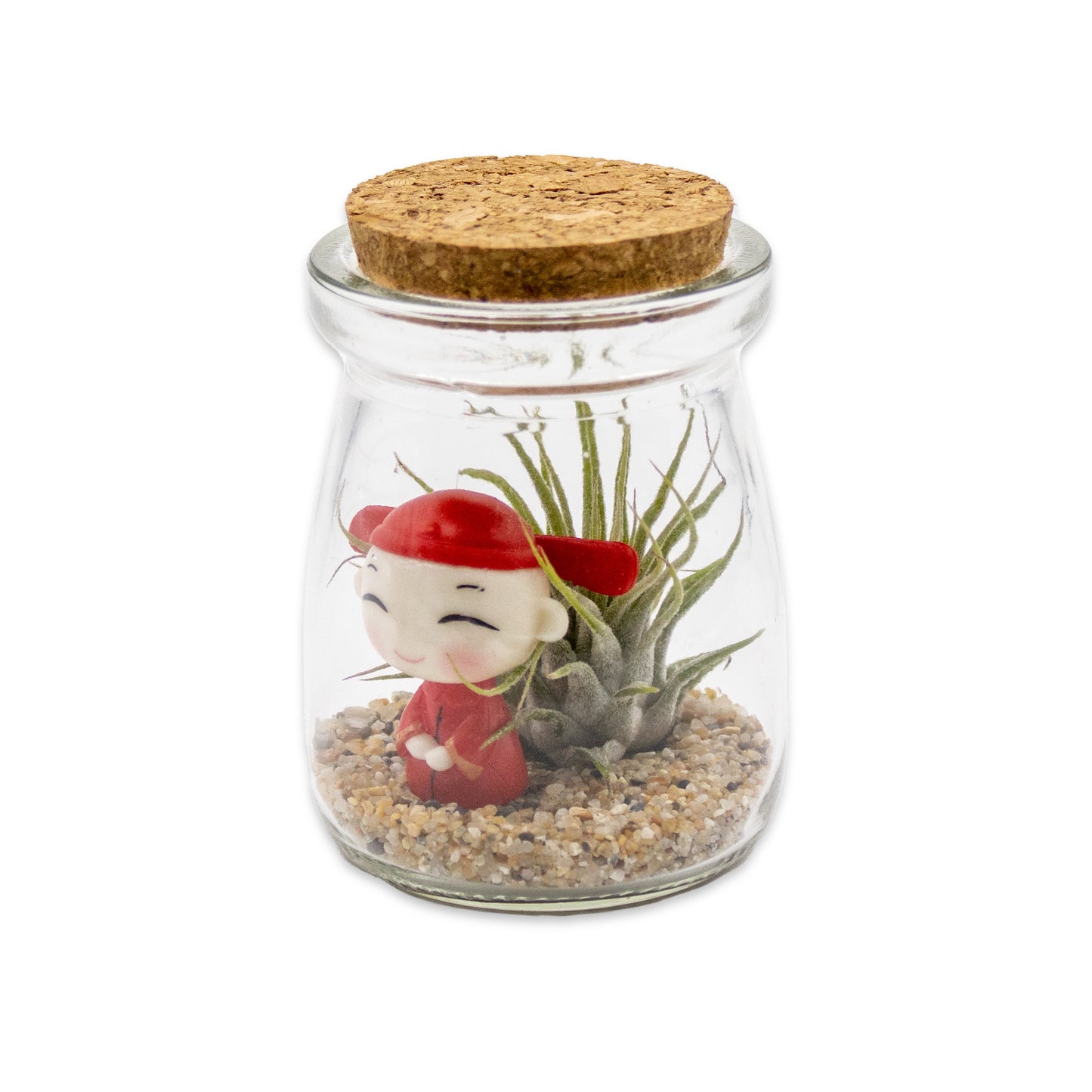 Mini Mixed Boy/Girl Air Plant Terrarium - Set of 12