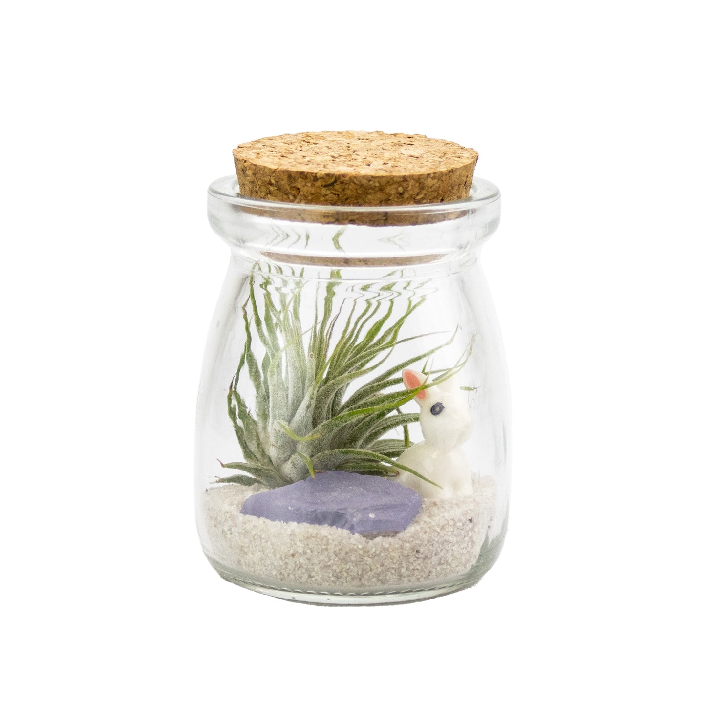 Mini Air Plant Terrarium with Animal Accent Figurine - Set of 12