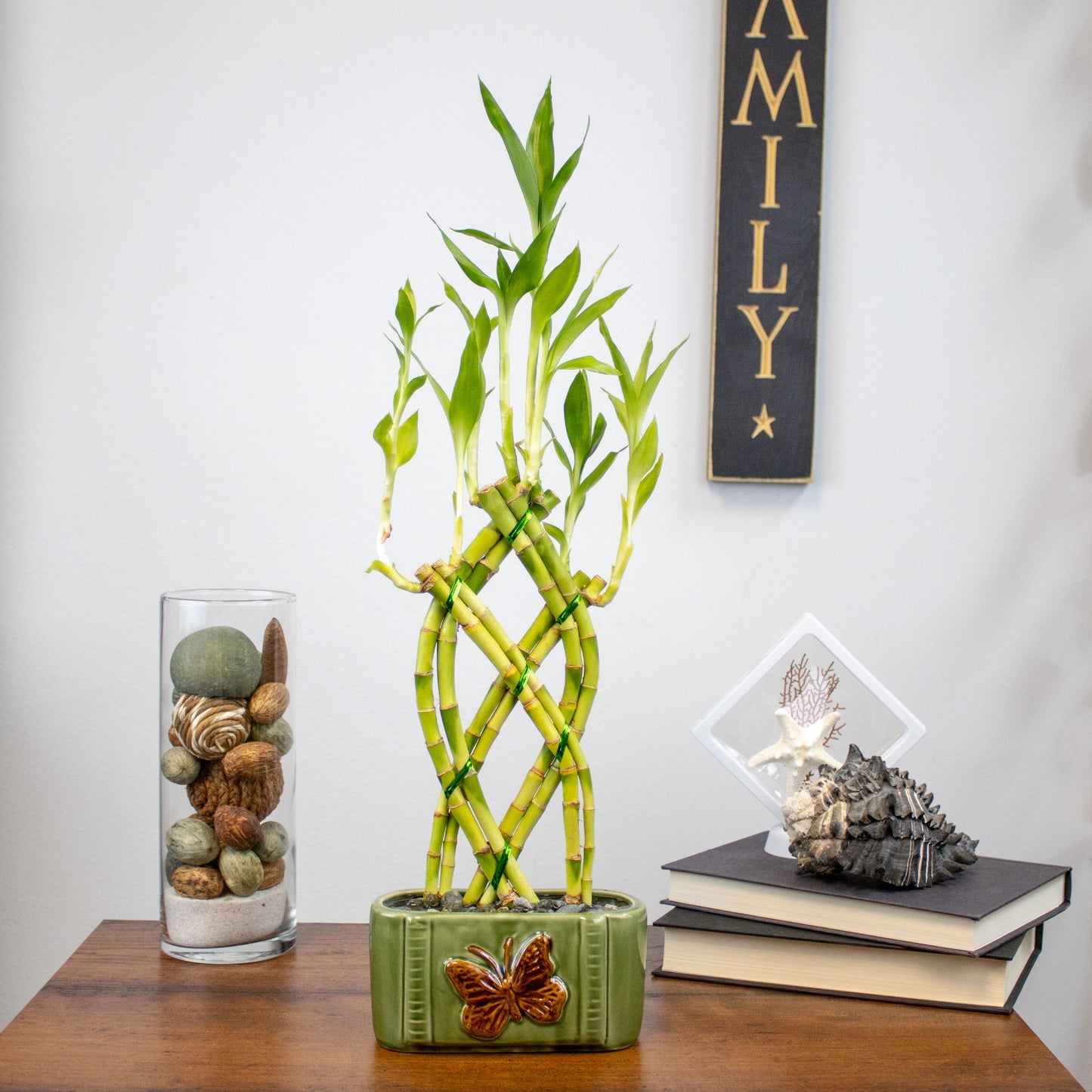 8-Stalk Trellis Lucky Bamboo Arrangement