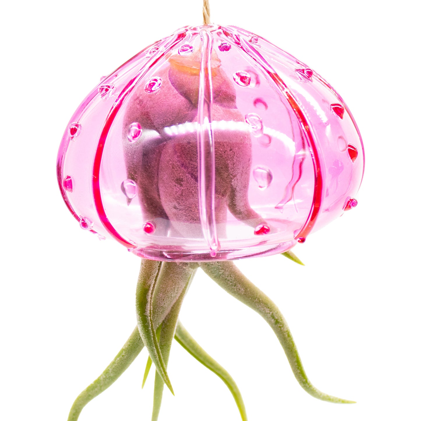 Set of 3 Hanging Glass Sea Urchin Jellyfish Arrangement