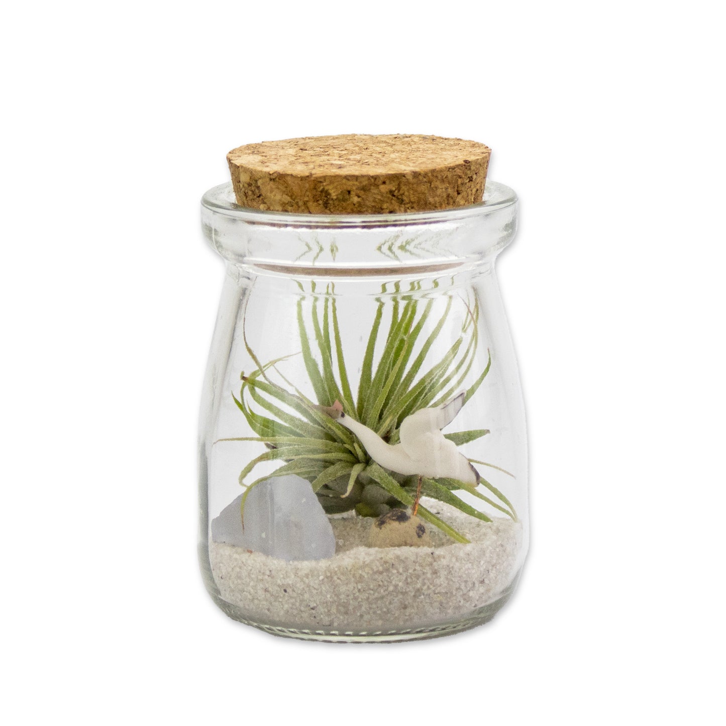 Mini Air Plant Terrarium with Animal Accent Figurine - Set of 12