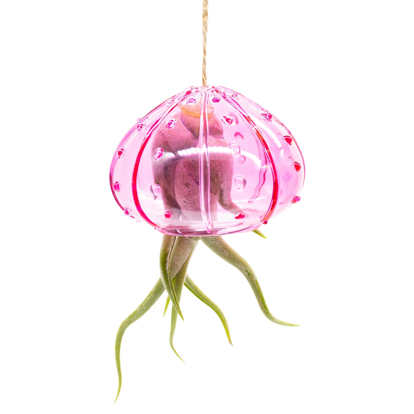 Set of 3 Hanging Glass Sea Urchin Jellyfish Arrangement