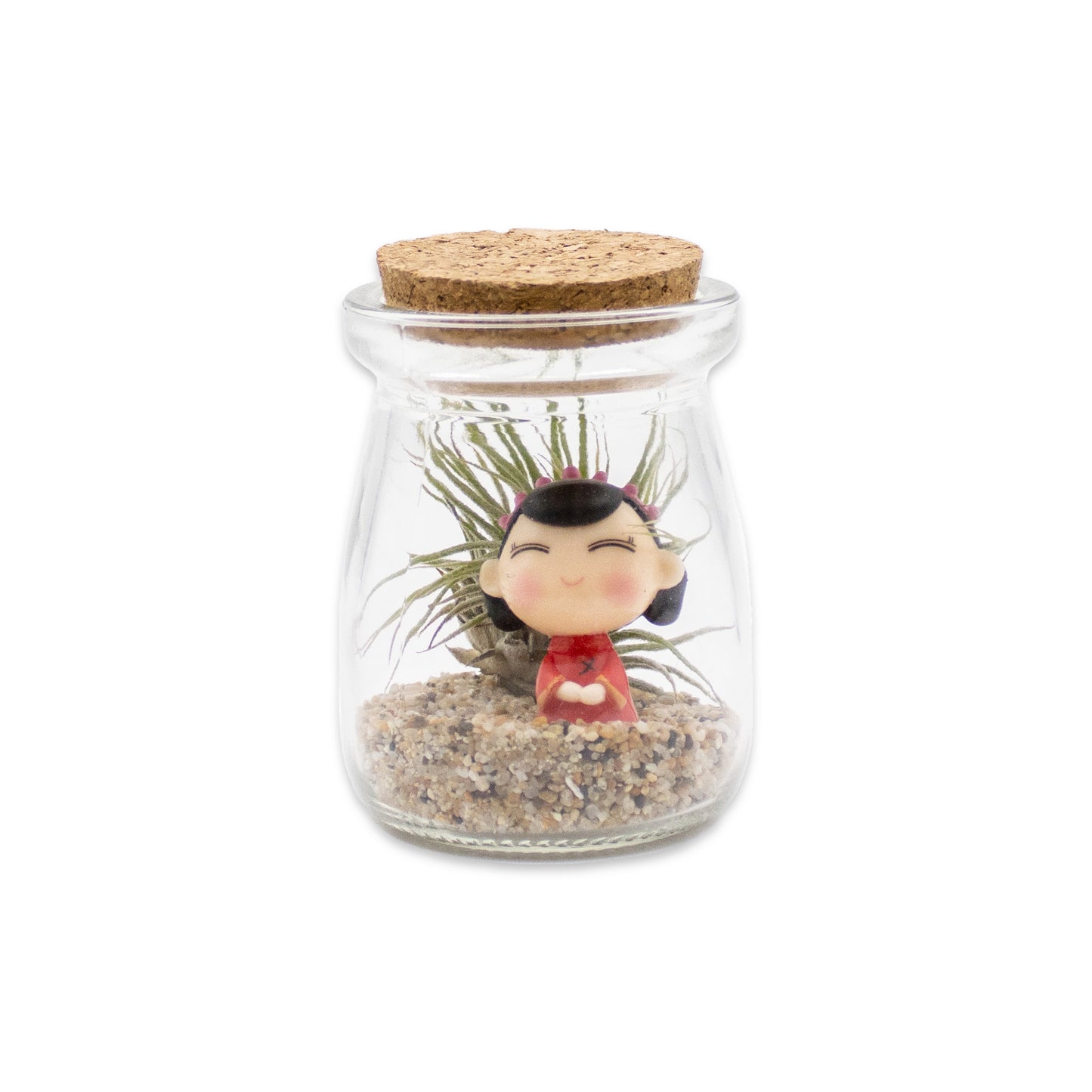 Mini Mixed Boy/Girl Air Plant Terrarium - Set of 12